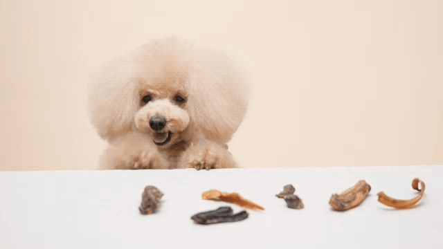 344d98024c10c653566dae67e5c347df_1769331335_028.gif