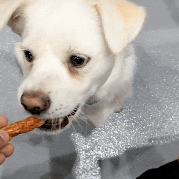344d98024c10c653566dae67e5c347df_1769331541_2117.gif