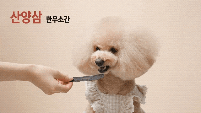 344d98024c10c653566dae67e5c347df_1769331624_0076.gif 344d98024c10c653566dae67e5c347df_1769331624_0076.gif