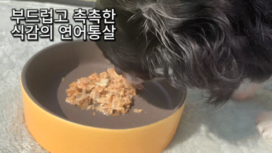 344d98024c10c653566dae67e5c347df_1769331939_813.gif