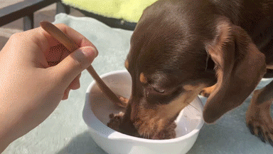 344d98024c10c653566dae67e5c347df_1769331955_3539.gif