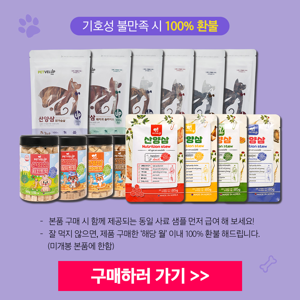 기존 이미지