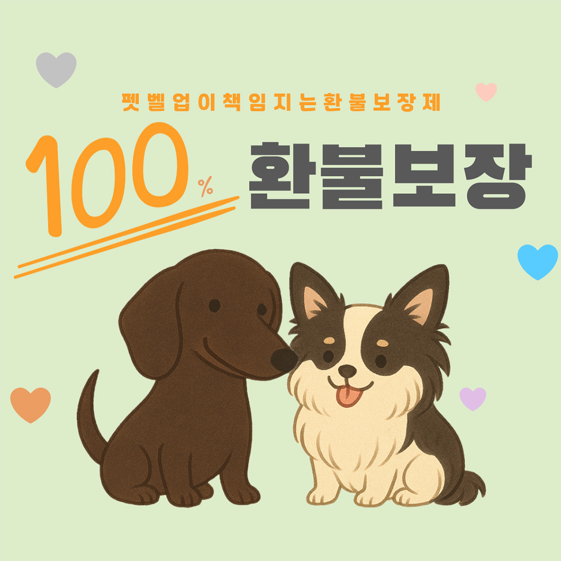 ※펫벨업이 책임지는 100% 환불보장제